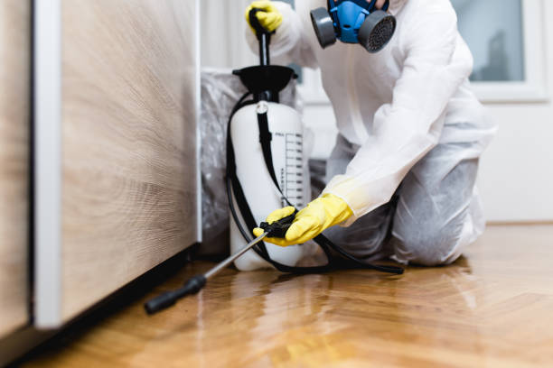 Best Ant Control Services  in Pomona, NY