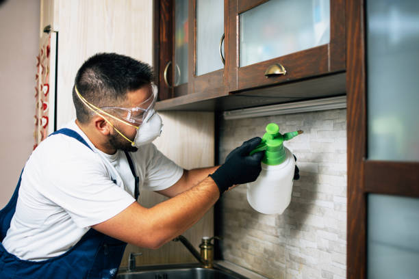 Best Flea Control Services  in Pomona, NY