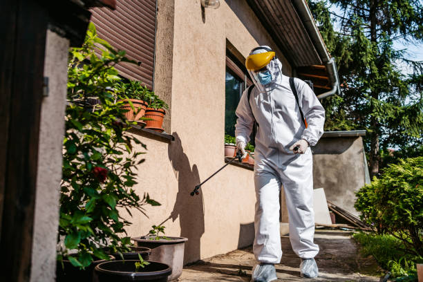 Flea Control Services in Pomona, NY