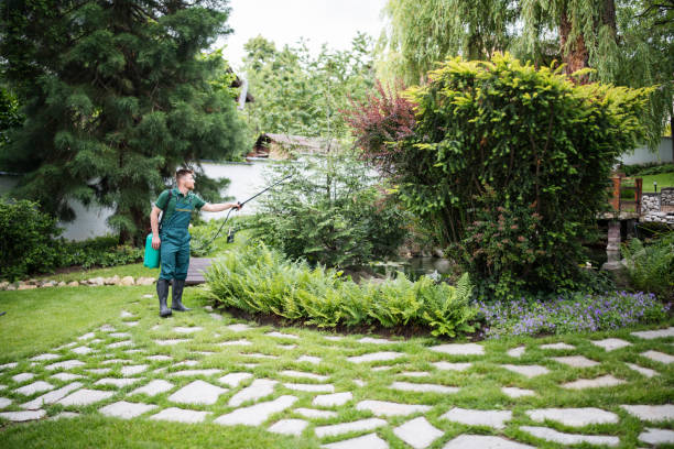 Best Affordable Pest Control Services  in Pomona, NY