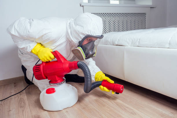 Wildlife Control Services in Pomona, NY