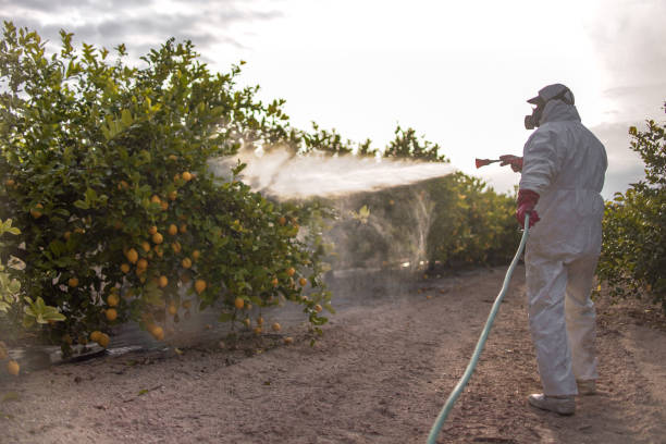 Professional Pest Control in Pomona, NY