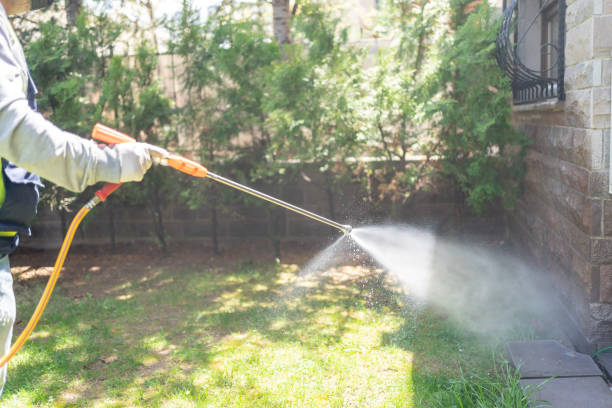 Best Pest Inspection Near Me  in Pomona, NY