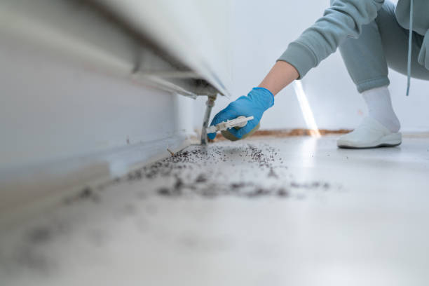 Best Best Pest Control Companies  in Pomona, NY
